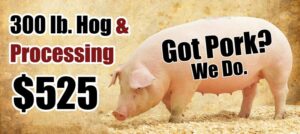 Package deal for WHOLE 300 LB hog