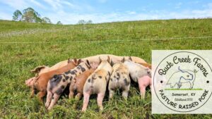 Pastured Pork in the Making