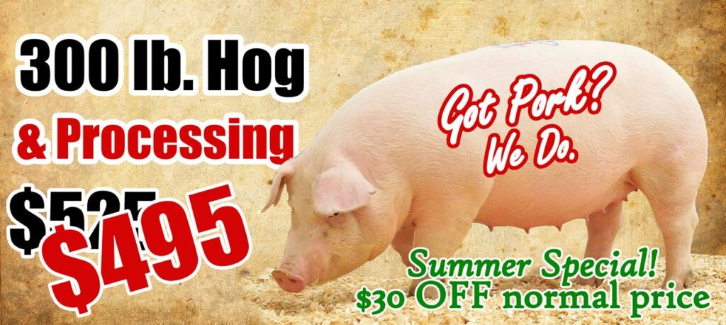 Special Hog Price